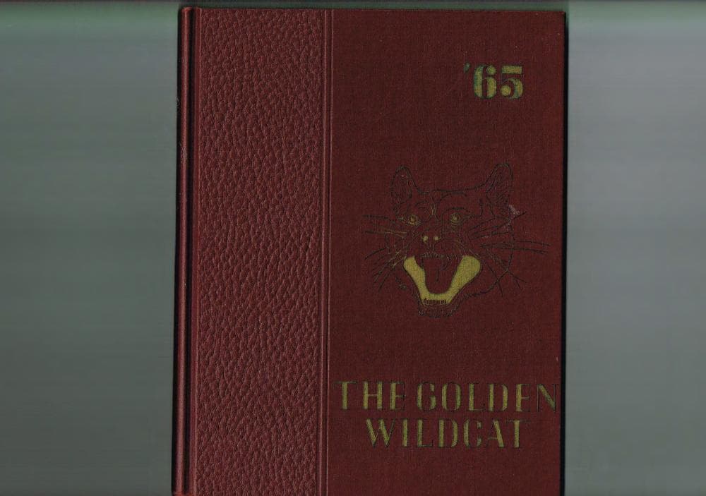 Cover of the 1965 Melrose yearbook