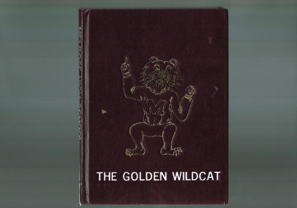 Cover of the 1981 Melrose yearbook