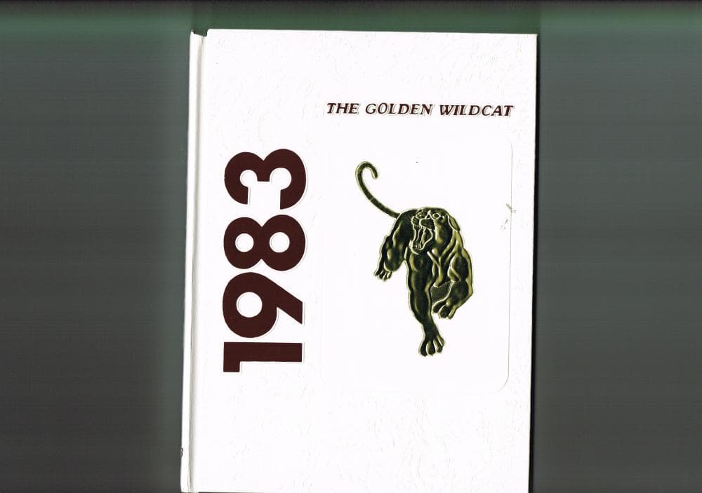 Cover of the 1983 Melrose yearbook