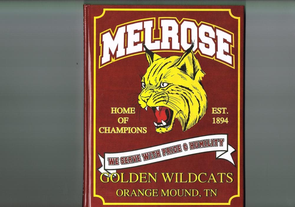 Cover of the 2011 Melrose yearbook